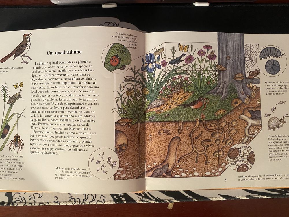 Livro - Um quadradinho no meu quintal
