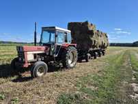International 844S