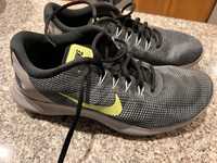 Sapatilhas Nike Flex RN