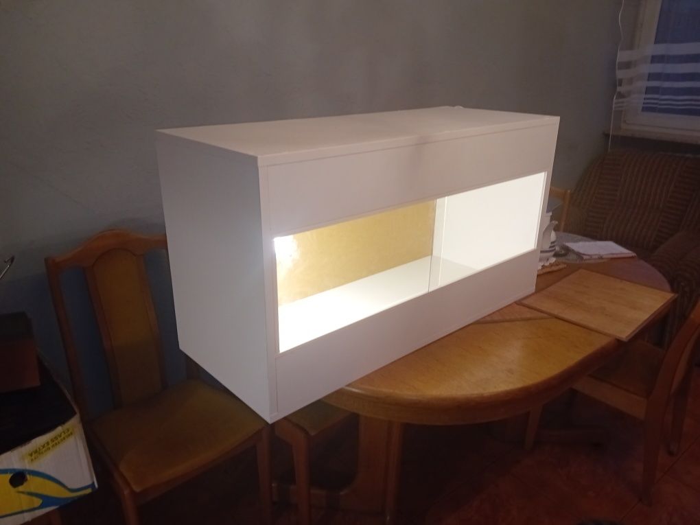 Terrarium na wymiar