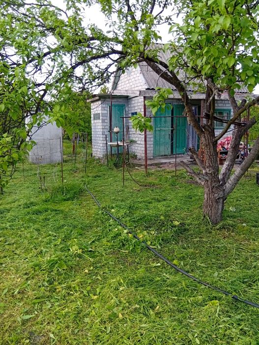 Дача Романки, ст Тепличний