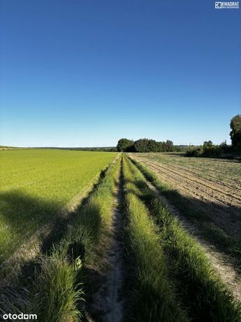 Piękna działka budowlana z lasem 59645m2