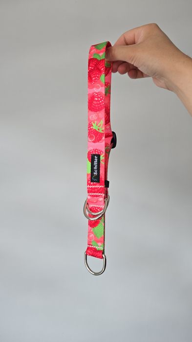 Obroża półzaciskowa dla psa maliny M border collie owczarek corgi