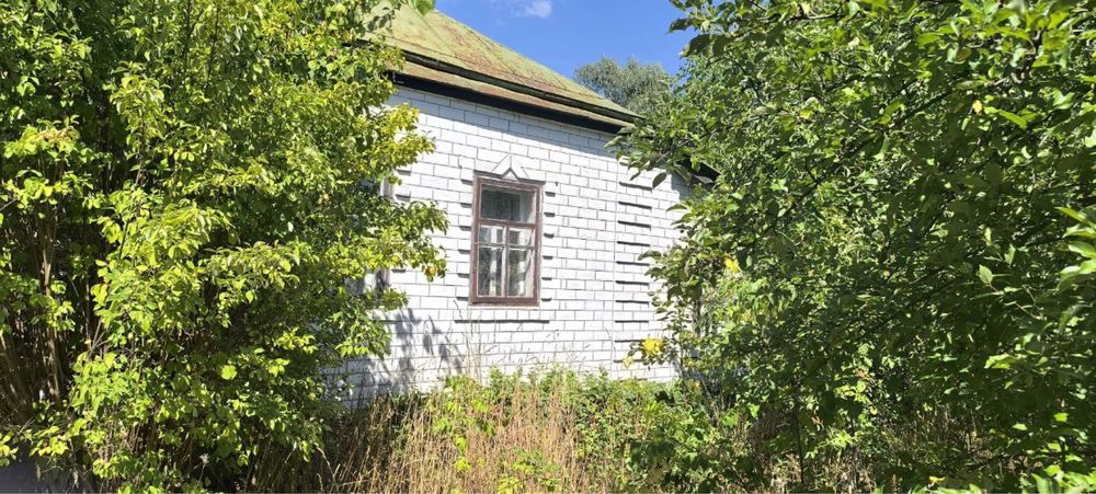 Сдам Дом Красная Поляна