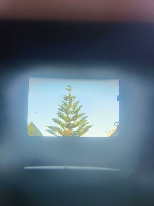 Canon FTb QL + Canon FD 50mm f/1.8 S.C.