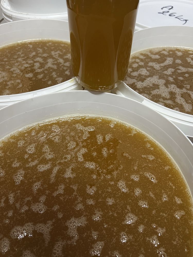 miod, miod rzepakowy naturalny pszczeli pasieki rodziny matki pszczele