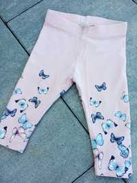 Legginsy getry h&M 68 motylki