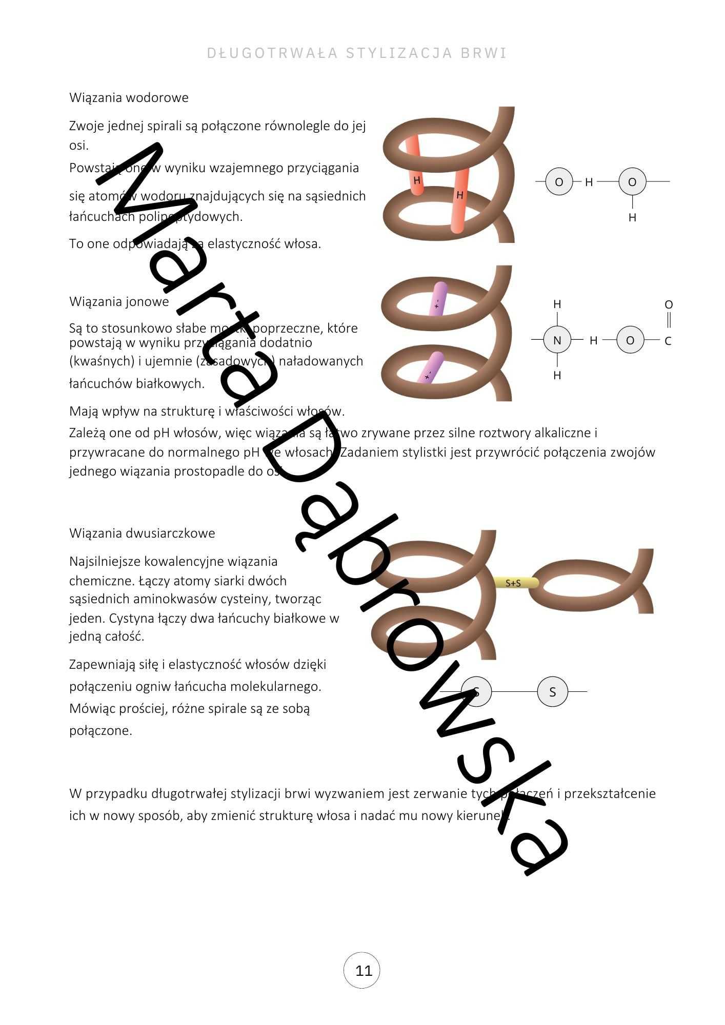 Skrypt szkoleniowy Laminacja brwi