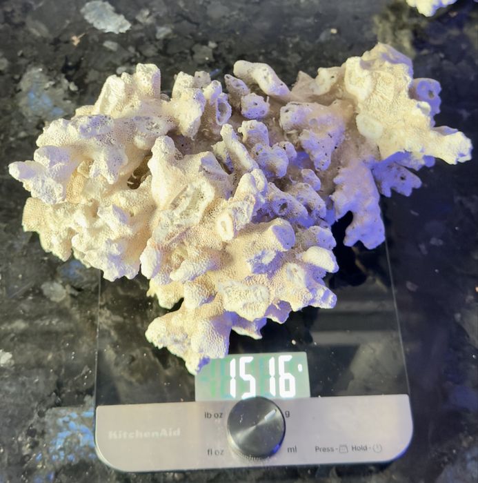 Naturalna, sucha skała do akwarium morskiego