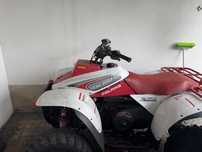 Polaris 325 trail boss