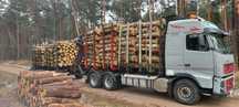 Usługi transportowe, transport drewna z lasu, Usługi HDS