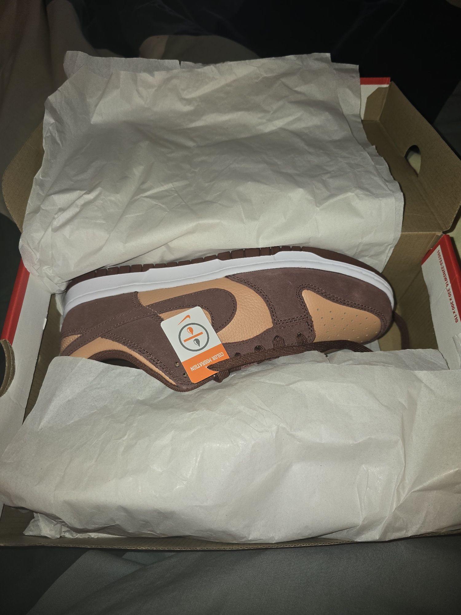 Nike dunk low retro se