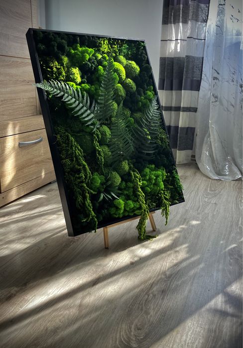 Mech Chrobotek w ramie 50 x 70cm lub 60 x 90cm różne rozmiary