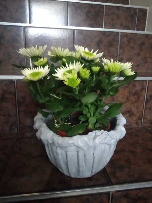 oslonka /doniczka na kwiaty