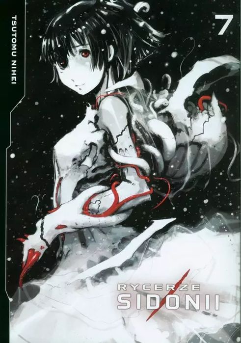 Rycerze Sidonii 7. Kotori