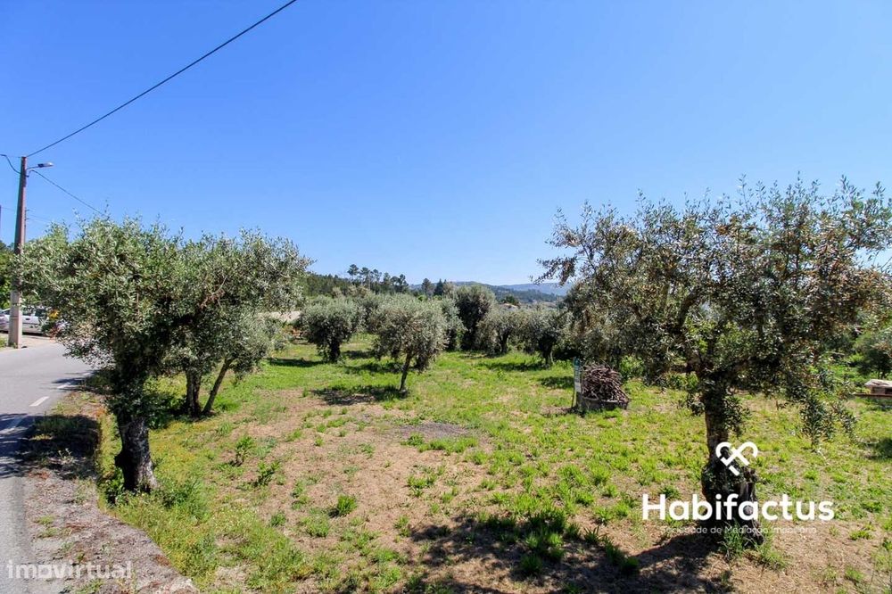 Terreno com viabilidade para construção a 9 km de Mangualde