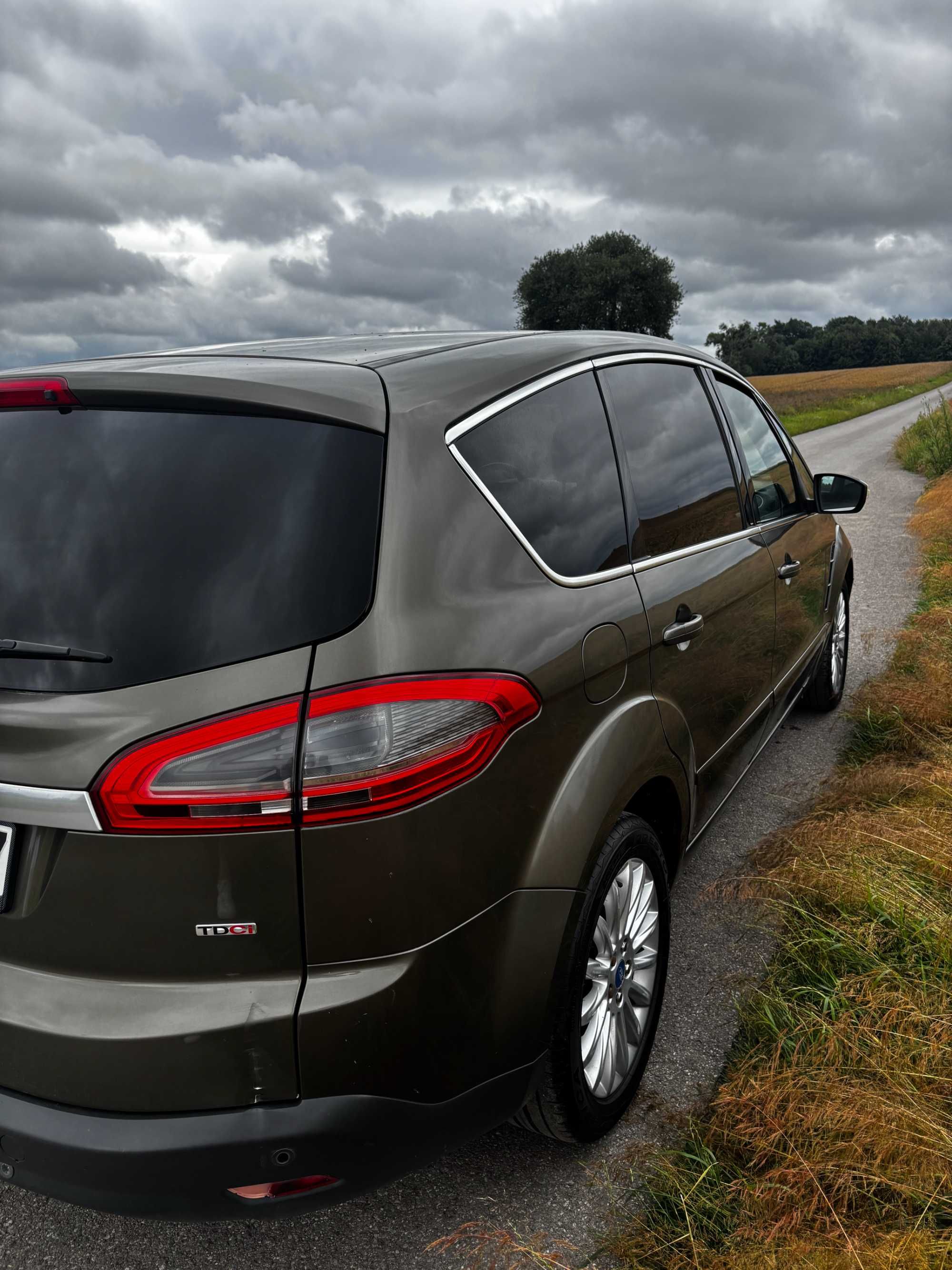 Ford S-Max 2.0 2010
