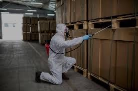 Дезінсекція від тарганів блох клопів, щурів мишей. Видалення плісняви