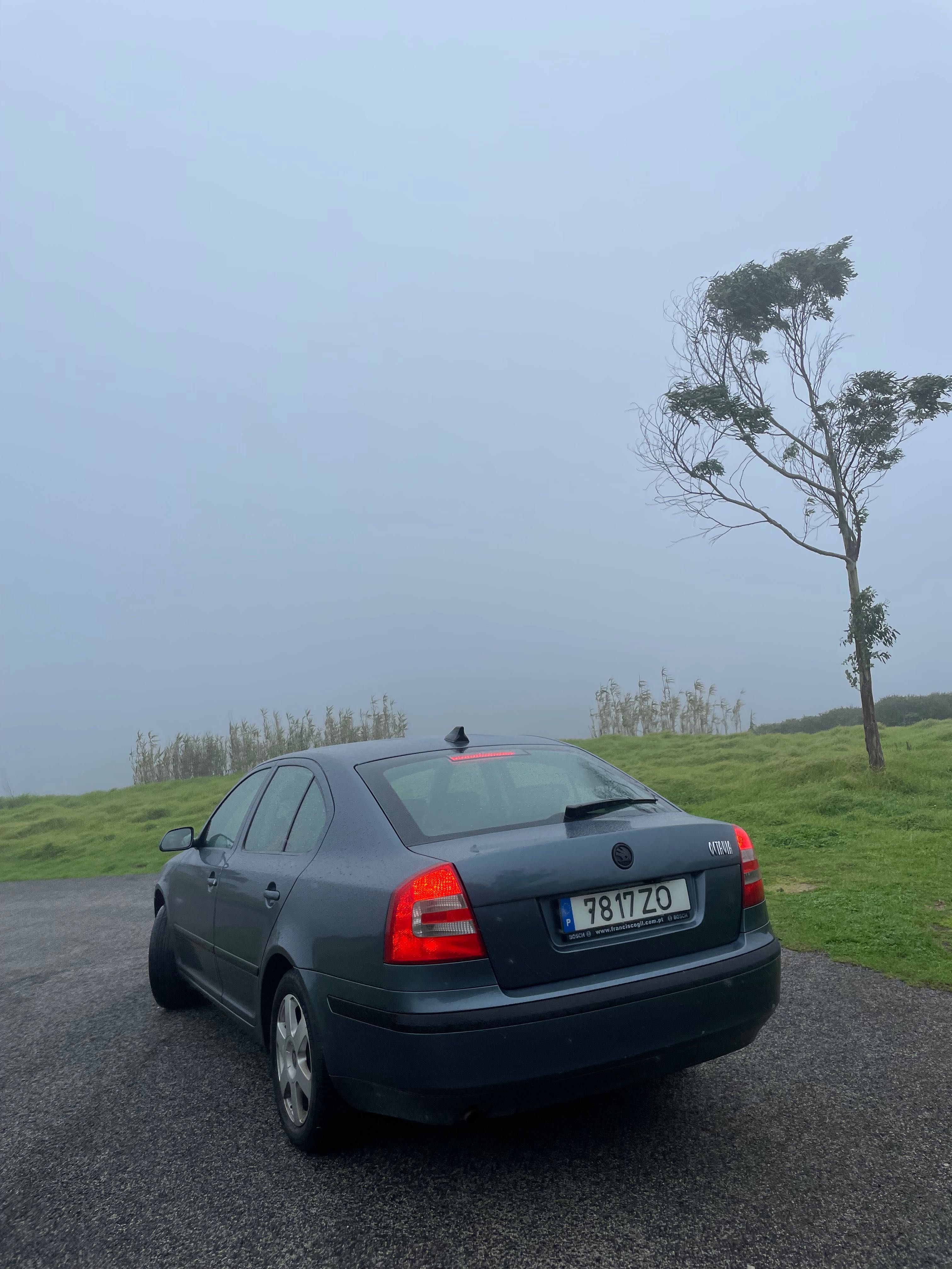 Skoda octavia a5 (depois de acidente)