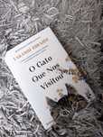 O gato que nos visitou (Portes Grátis)