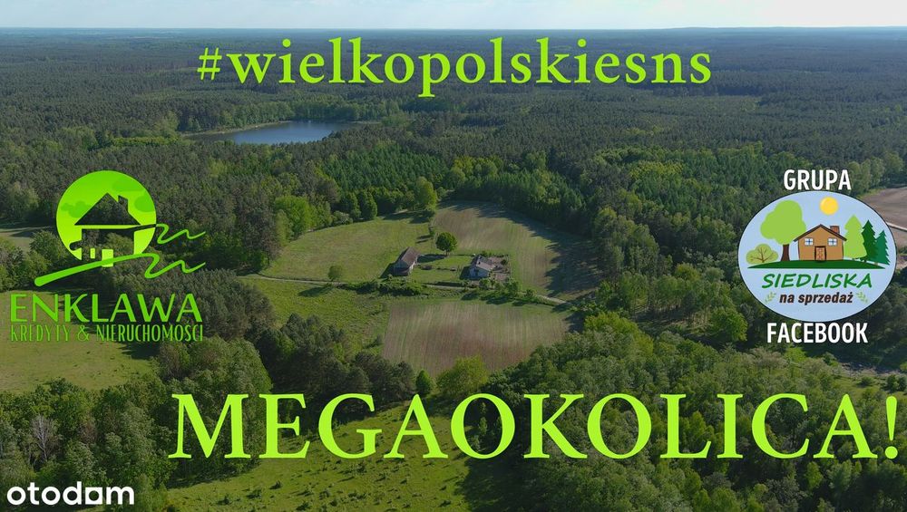 ENKLAWA prezentuje: PÓŁ domu w MEGA okolicy! Jeziora + lasy! ZOBACZ!