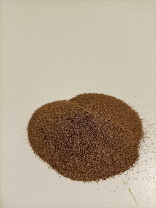 Artémia salina por eclodir