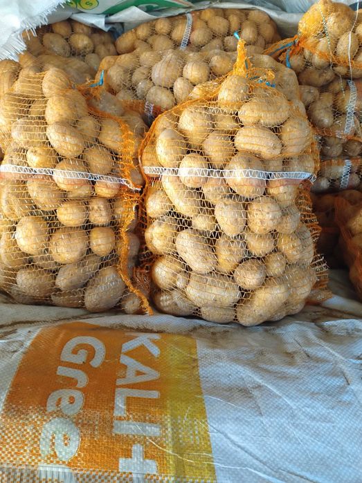 Sprzedam ziemniaki jadalne DENAR i LILI 15kg