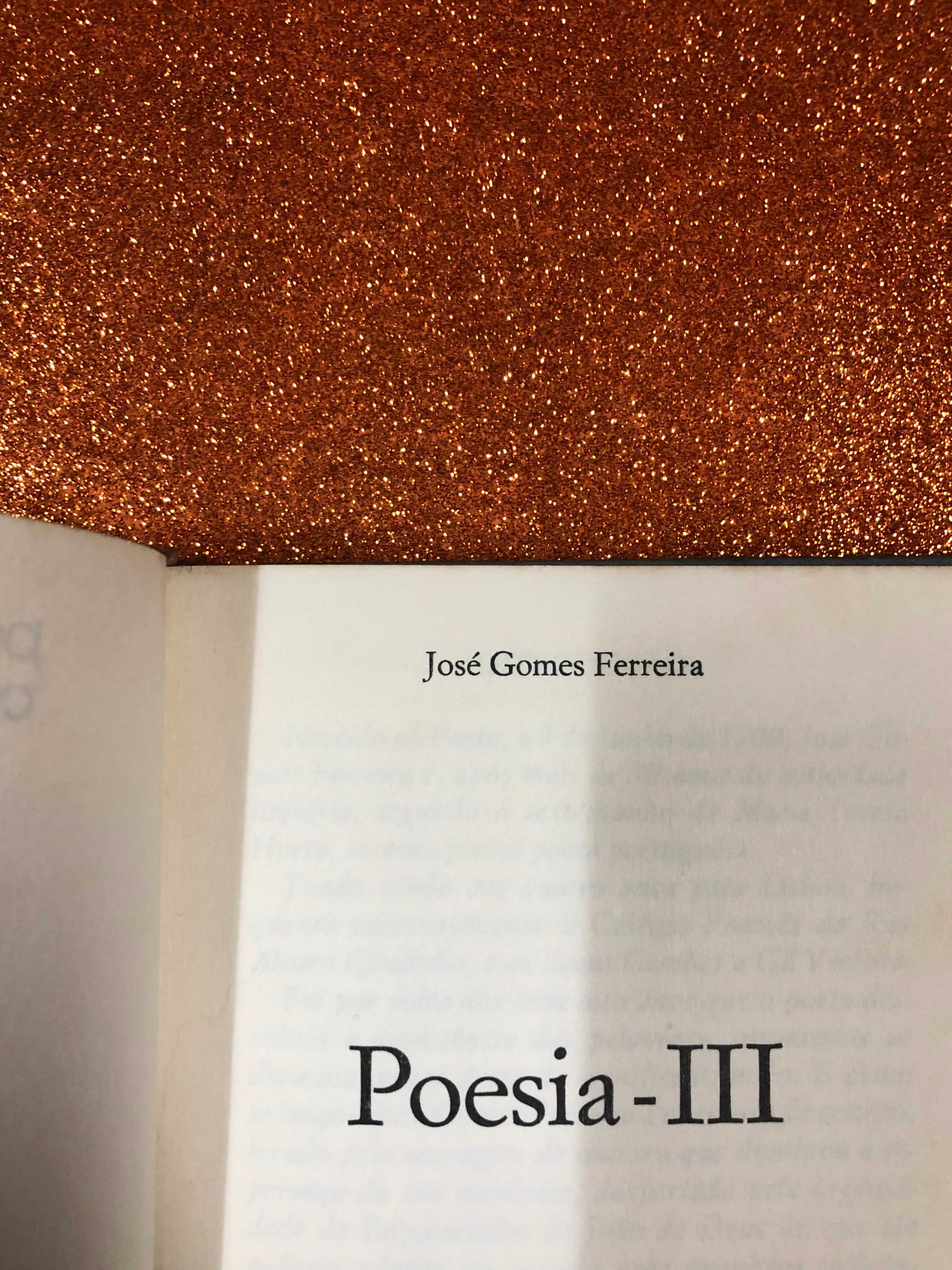 Poesia - III - José Gomes Ferreira