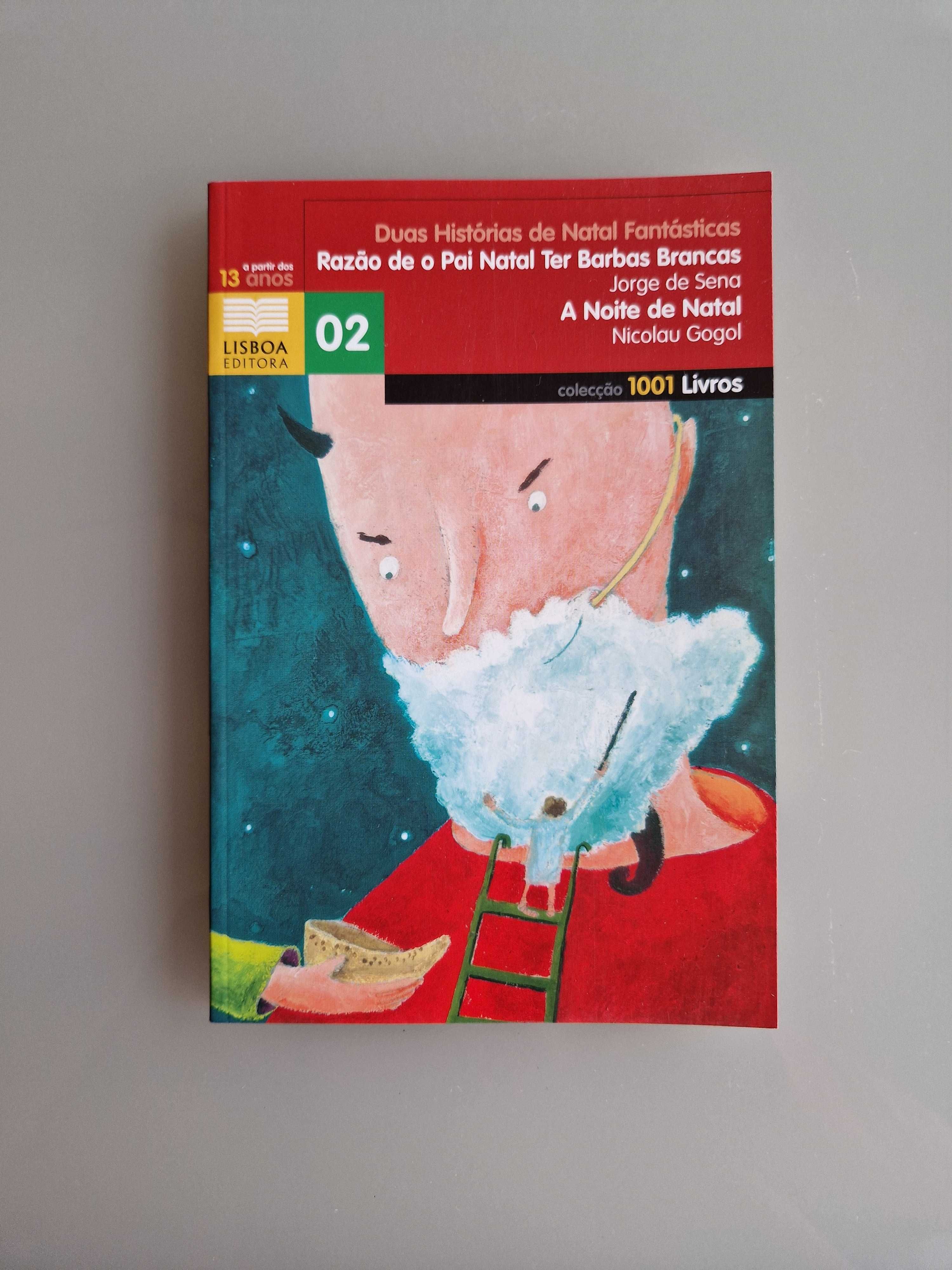 Livro juvenil com duas histórias de Natal