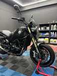 Benelli Leoncino 500[2021]