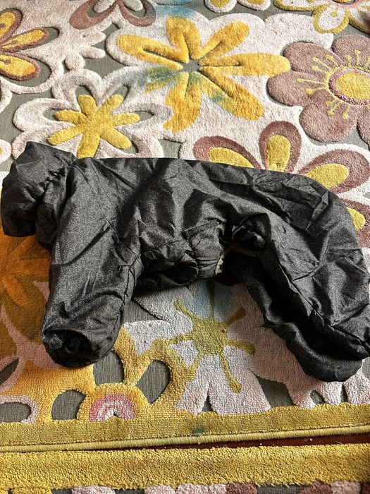 Одяг для собак, кота