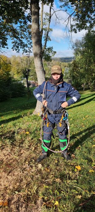 Арбористика. Спил дерев. Видалення пнів і аврійних дерев.