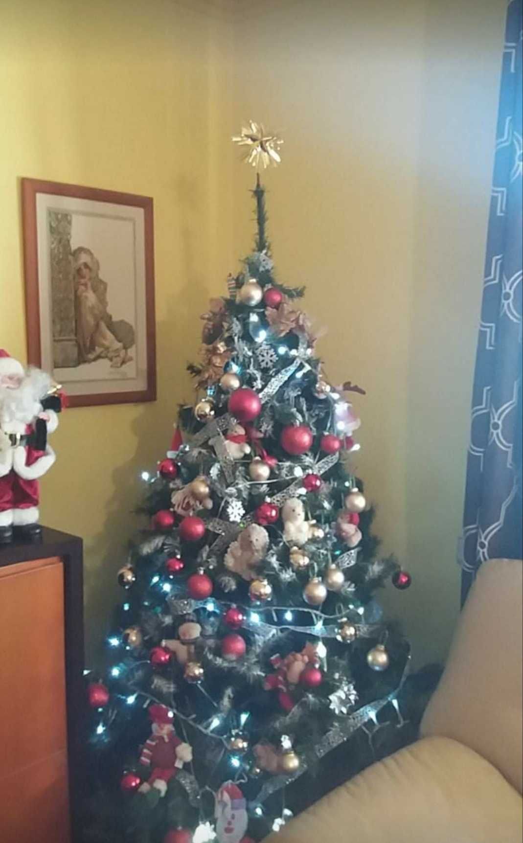 Arvore natal como nova