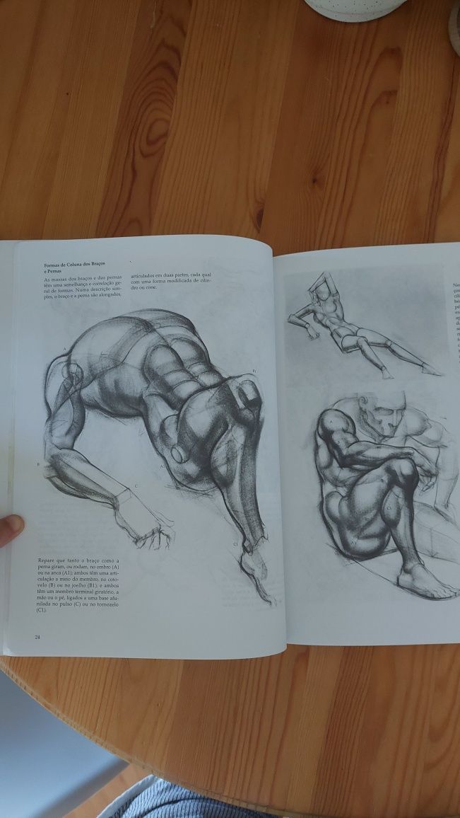 Livro desenho da figura humana