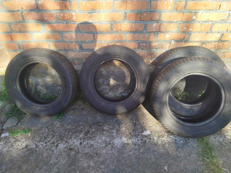 Резина зима R14 186/65
