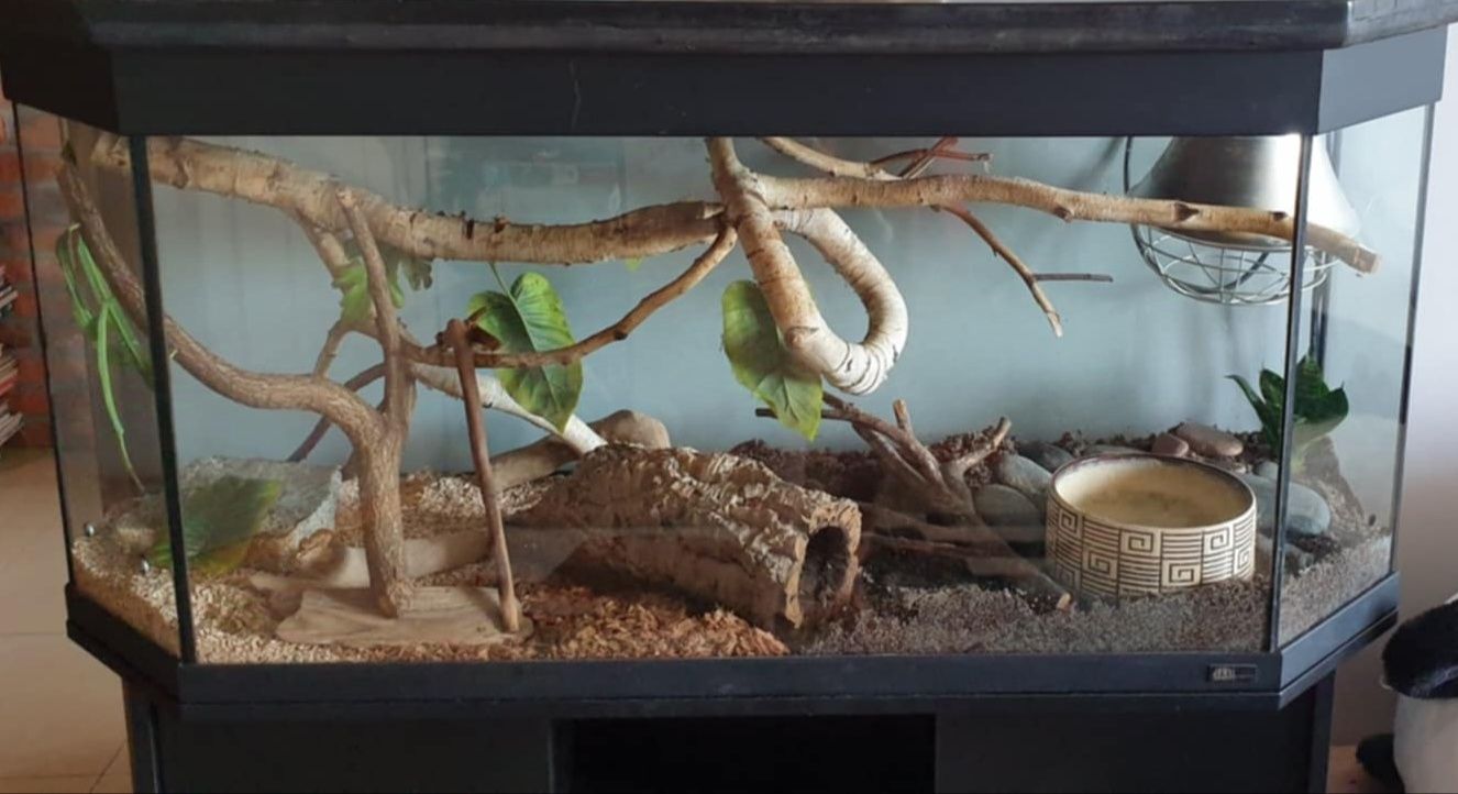 Terrarium 200l gady/płazy