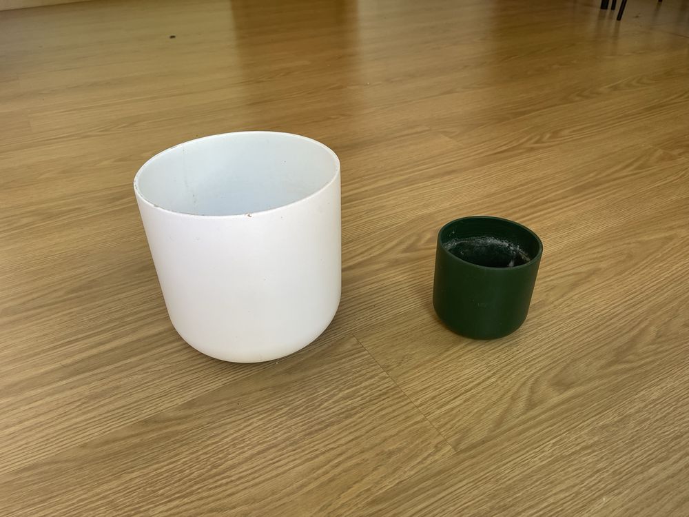 Planta + 3 vasos