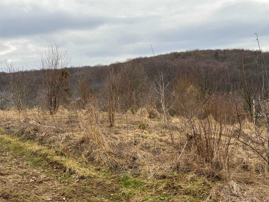 Продаж ділянки у селі Волиця (Винники, 35 сот.) БЕЗ КОМІСІЇ