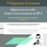 Profesjonalna strona internetowa, projekt strony www