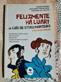 Livro "Feliz há luar-O texto em análise"