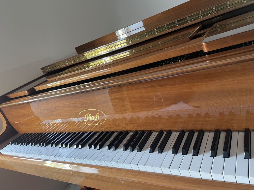 Piano de cauda Ibach - F2/modelo 2