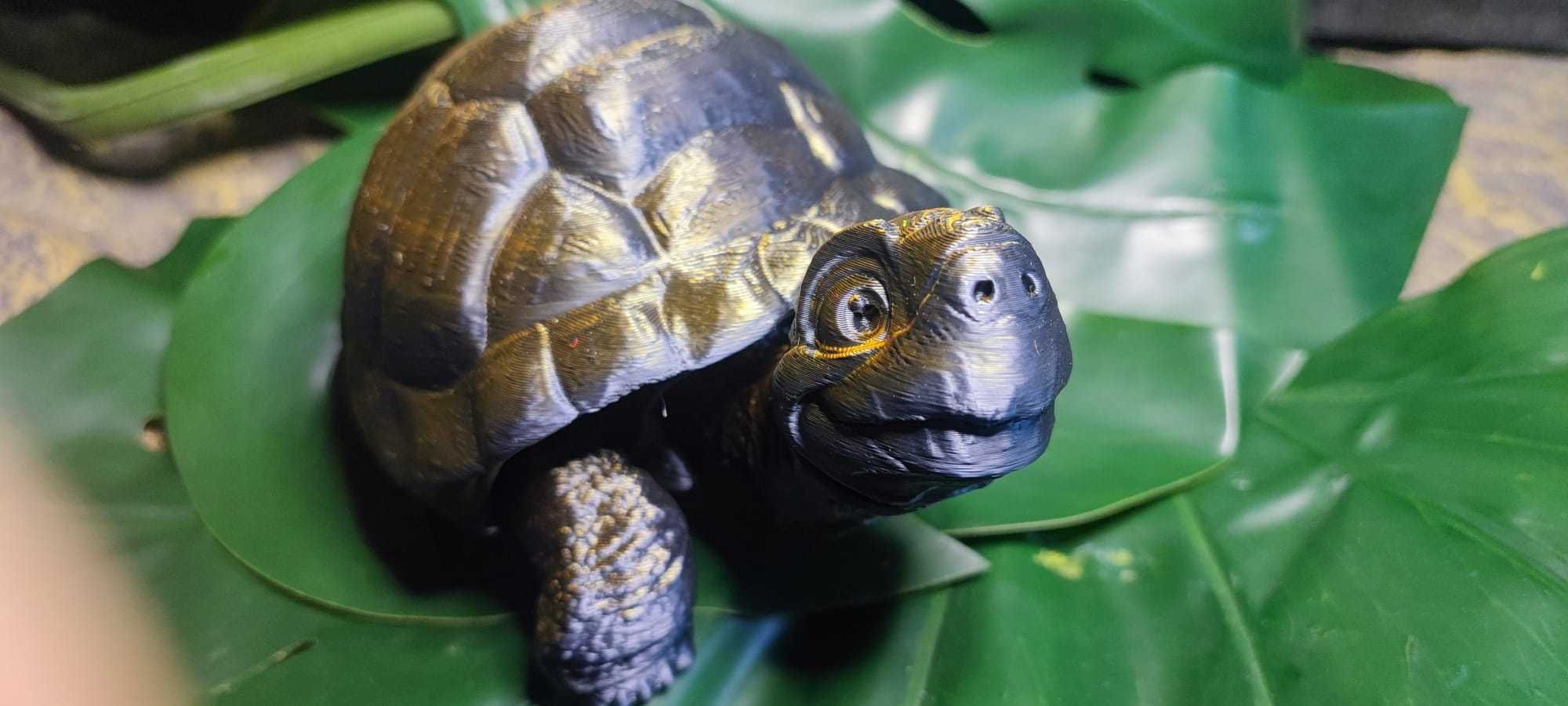 Zabawka żółw wydruk 3D