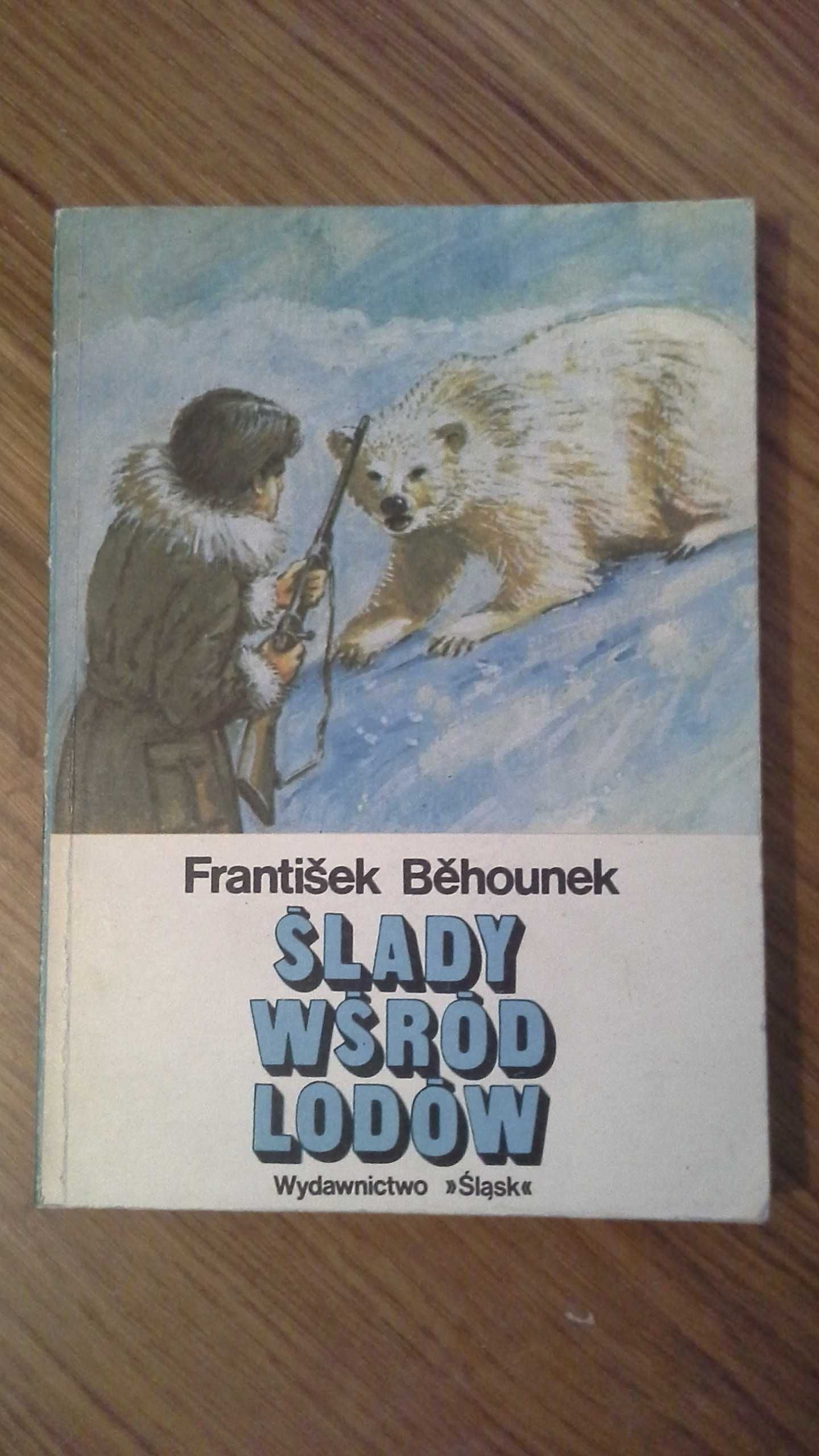 Ślady wśród lodów - Frantisek Behounek