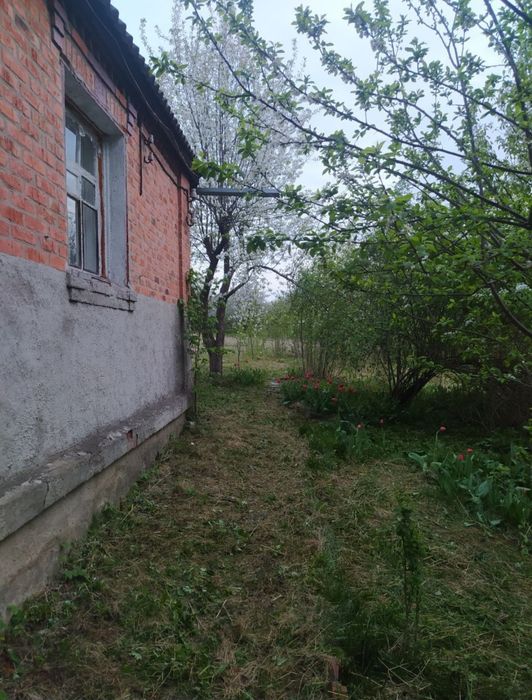 Продам дом в Солоницевском Отг (П.Безруки)