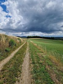 Działka rolna 0,31 ha Radomice gmina Wleń doskonała lokata kapitału