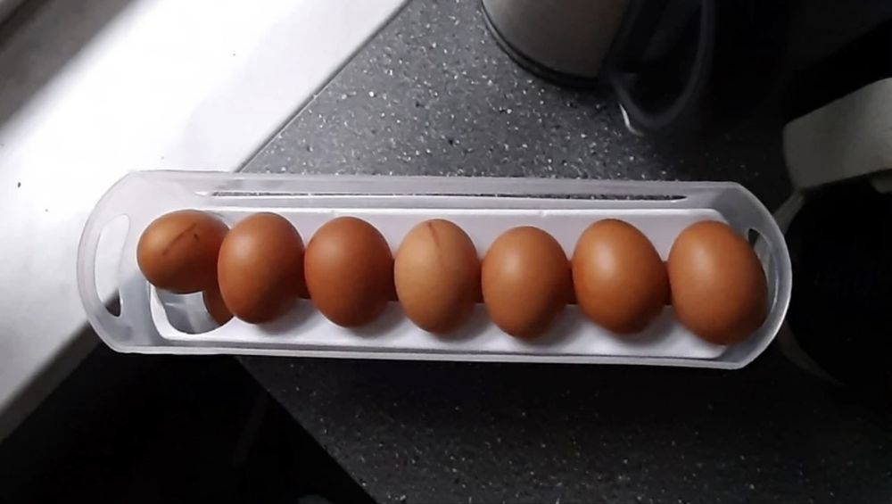 Pojemnik na jajka