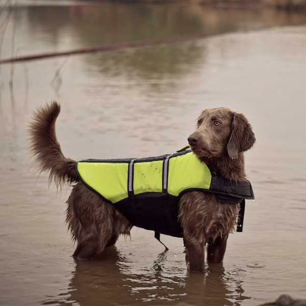 NOVO - Colete salva-vidas para cães - Duvo+
