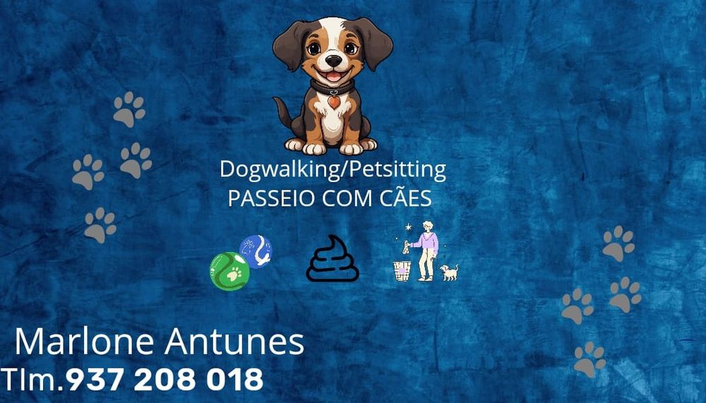 Passeios e lazer com cães