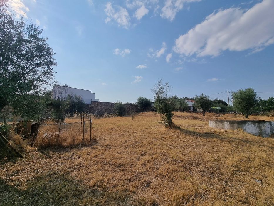 Moradia T3 com terreno