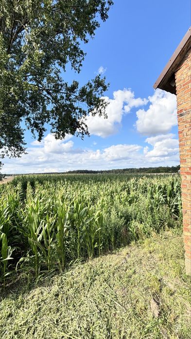 DOM z dużą działką